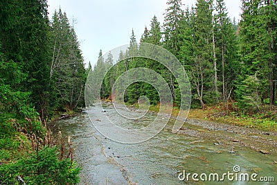 Mountainous rapid river. Shallow mountain river with stone rapids. Water landscape Stock Photo