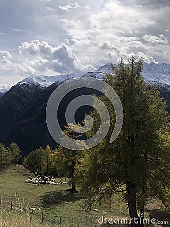 Mountains in the alps Grossglockner, the highest mountain of Austria Stock Photo