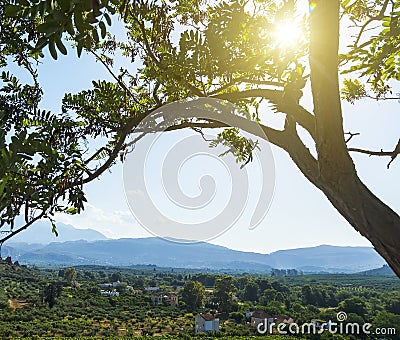 Mountains beautiful inspirational landscape in summer day. sun shines through the branches of a tree in the foreground Stock Photo