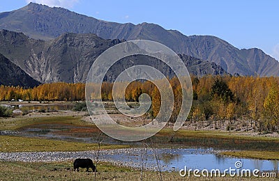 Mountains in China Stock Photo