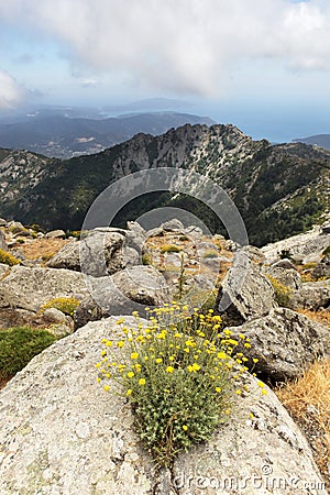 Mountains cliffs, beautiful landscape, Elba Island Stock Photo