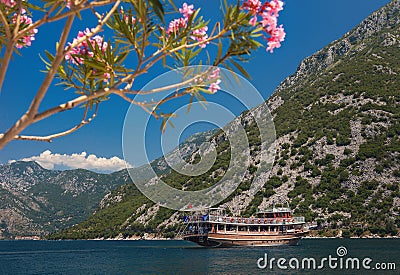 Mountains and flowers. Boat in the sea. Montenegro Stock Photo