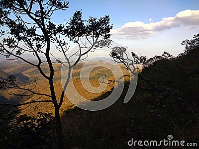 Mountains, forest and blue sky with clouds Stock Photo