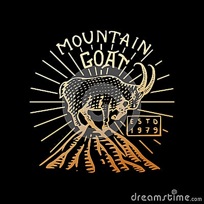 Mountains goat logo. Camping label. Trip in the forest, outdoor and adventure and pine trees. Colored badge on the Vector Illustration
