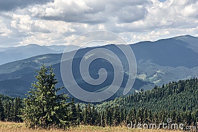 Mountains hills landscape during a sunny day with blue sky clouds. Dark autumn trees. Forest in summer. Hiking in wild mountains. Stock Photo