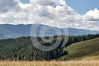 Mountains hills landscape during a sunny day with blue sky clouds. Dark autumn trees. Forest in summer. Hiking in wild mountains. Stock Photo