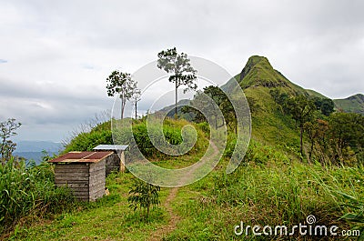 Mountains and jungle with mist in foggy weather in Thailand Stock Photo