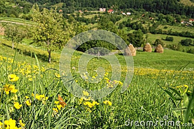 Mountains Landscape Stock Photo