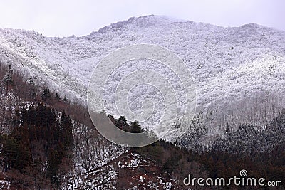 Mountains near village of Shirakawa-go located in Gifu Prefecture, Stock Photo