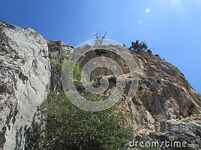 Mountains of northern Cyprus. Trees growing on the rocks. Stock Photo