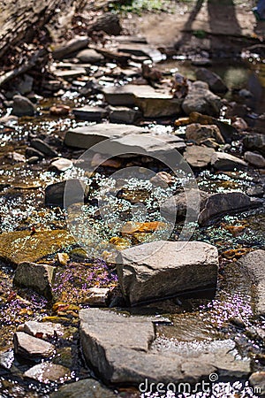 Mountains, Rivers, Rocks, Trees Stock Photo