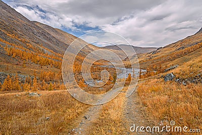 Mountains road river autumn golden larch Stock Photo