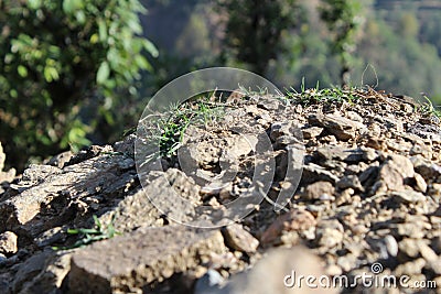 Mountains rock And Trees Stock Photo