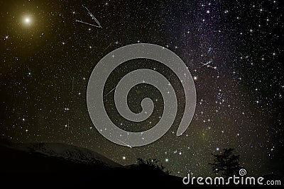 Mountains stars meteors spruce night Stock Photo