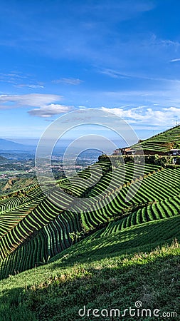 Mountains and terracing Stock Photo