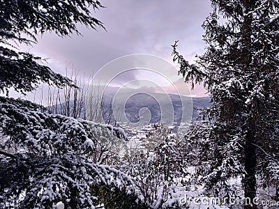 Mountains and trees with snow in Italy in the morning Stock Photo