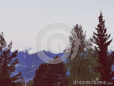 Mountains through treetops in the evening Stock Photo