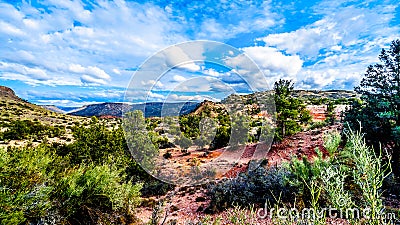 The mountains with varied vegetation in the red rock country at the Beaverhead Flats Road near the Village of Oak Creek Stock Photo