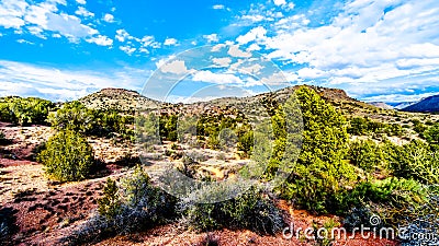 The mountains with varied vegetation in the red rock country at the Beaverhead Flats Road near the Village of Oak Creek Stock Photo