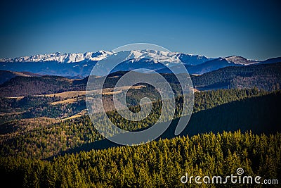 Mountains view from Paltinis Stock Photo