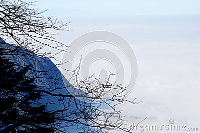 The mountains pass through the clouds, and the cypress branches stick out of the cliff Stock Photo