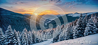 mountains winter landscape, snowy pine trees at sunset , vista with cloudy sky Stock Photo