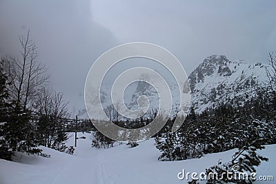 Mountains in Zelene pleso valley in High Tatras Stock Photo