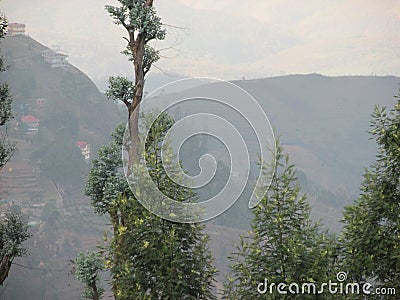 Mountan with mist Stock Photo