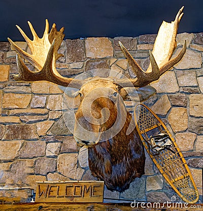mounted moose, Alces, head with snowshoe and welcome sign on stone farm wall Stock Photo