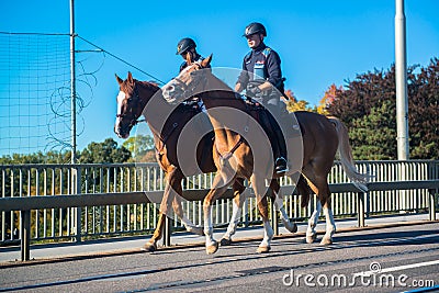 A mounted trooper of the Household Cavalry Editorial Stock Photo