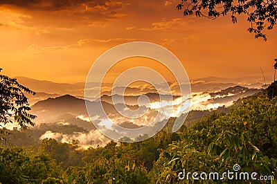 Mountian and cloud in tropical forest Stock Photo