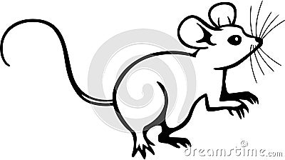 Mouse Vector Illustration