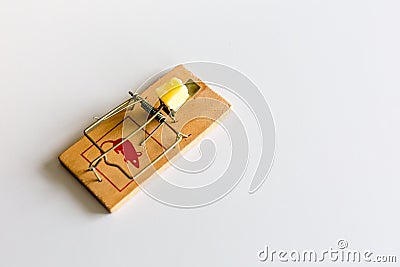 Mouse or rat trap with cheese Stock Photo