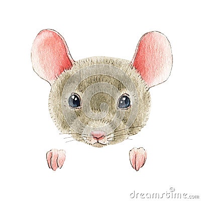 Mouse or rat watercolor illustration. Hand drawn cute fluffy gray mouse, rat portrait with pink ears and small paws Cartoon Illustration