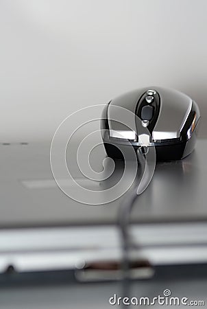 Mouse on a silver laptop Stock Photo