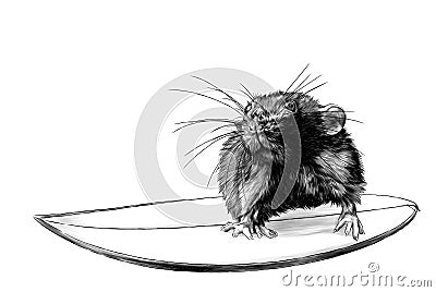 Mouse surfing Vector Illustration