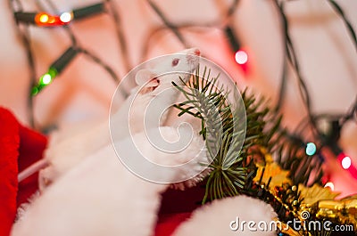 mouse. symbol of 2020. Christmas photo on the calendar Cartoon Illustration