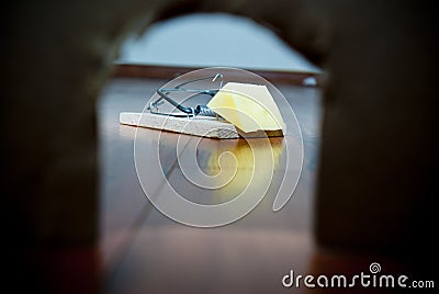 Mouse trap Stock Photo