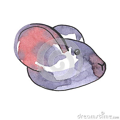 Mouse watercolour illustration. Funny icon of animal. Grey rat with pink ears isolated on white background. 2020 new Cartoon Illustration
