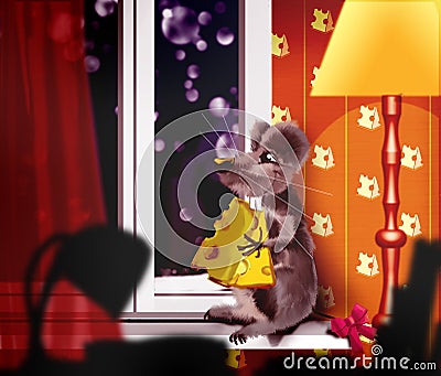 Mouse on a window sill Stock Photo