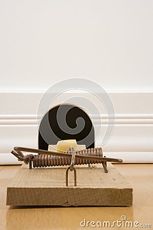 Mousetrap in front of a mouse hole Stock Photo