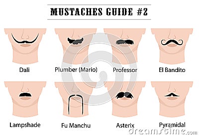 Moustaches guide with names: Dali, Plumber Mario, Professor, El Bandito, Lampshade, Fu Manchu, Asterix, Pyramidal. Vector Illustration