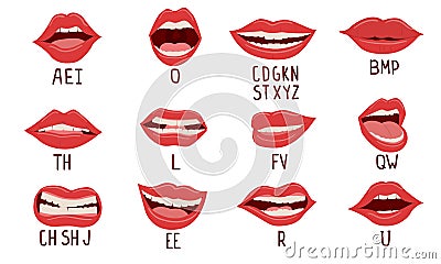 Mouth animation. Alphabet pronunciation, lips position while talking. Woman facial expression, white teeth and tongues Vector Illustration