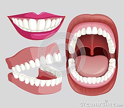 Mouth and tooth health set Vector Illustration