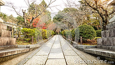 move forword on vintage street with green tree and branch without leave at both side at kiyomizu japan Stock Photo