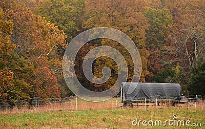 Moveable chicken coop in the fall Stock Photo