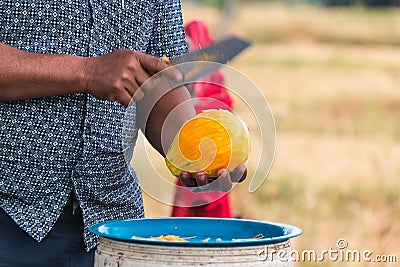 moveing a knife to chop papaya Stock Photo