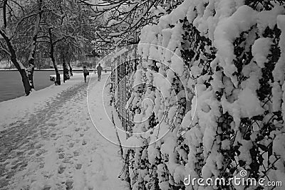 Movement in the park on the first day of Christmas Stock Photo