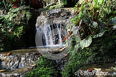 Movement water of waterfall on the rock with green moss and lichen Stock Photo