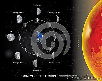 Movements of the Moon 8 Lunar Phases Realistic Vector Illustration